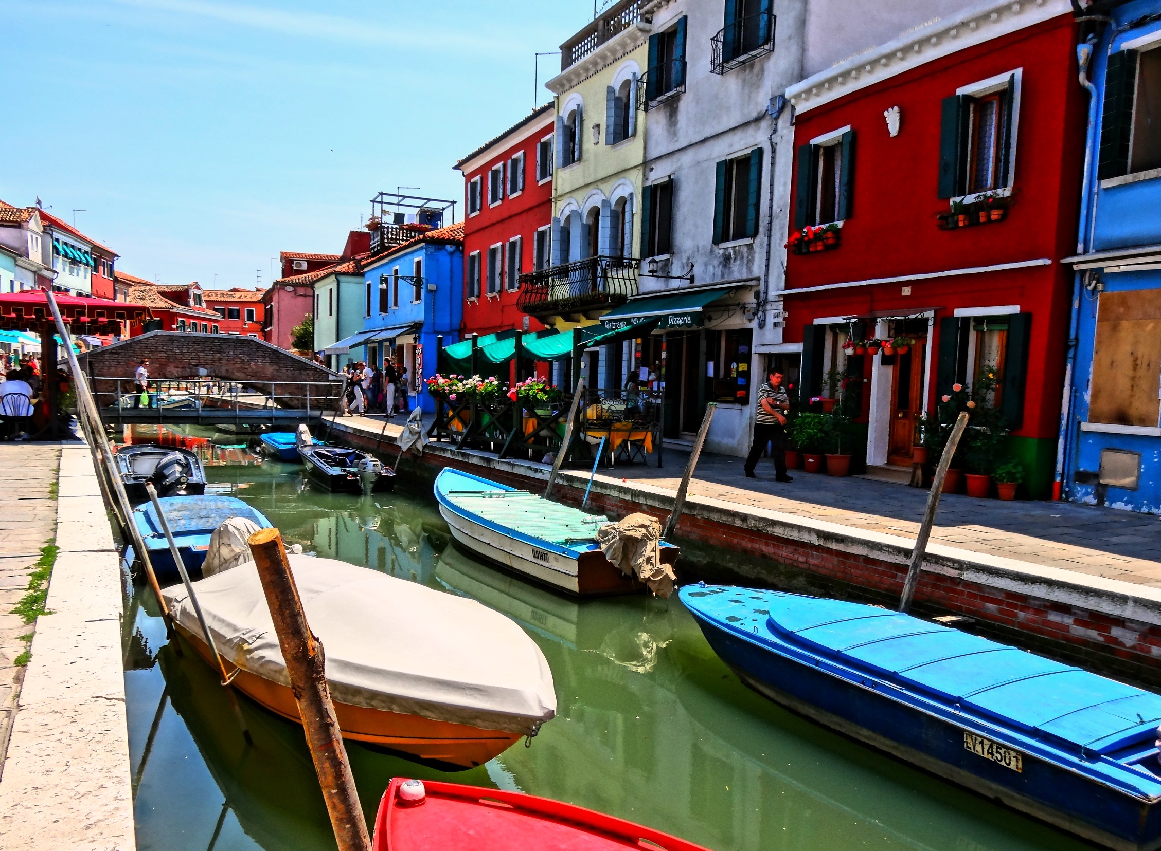 cricket hide Grudge 7 lucruri pe care trebuie sa le faci in Venetia